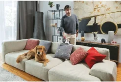 Hoover MBC500UV, Ultra Vortex Mattress Cleaner, Red, White -SaugProfi Sparmarkt dfd17084f300e798d02e8999580ea56e